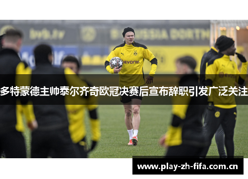多特蒙德主帅泰尔齐奇欧冠决赛后宣布辞职引发广泛关注 多特蒙德主帅泰尔齐奇欧冠决赛后宣布辞职引发广泛关注